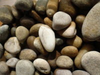 Scottish Beach Pebble